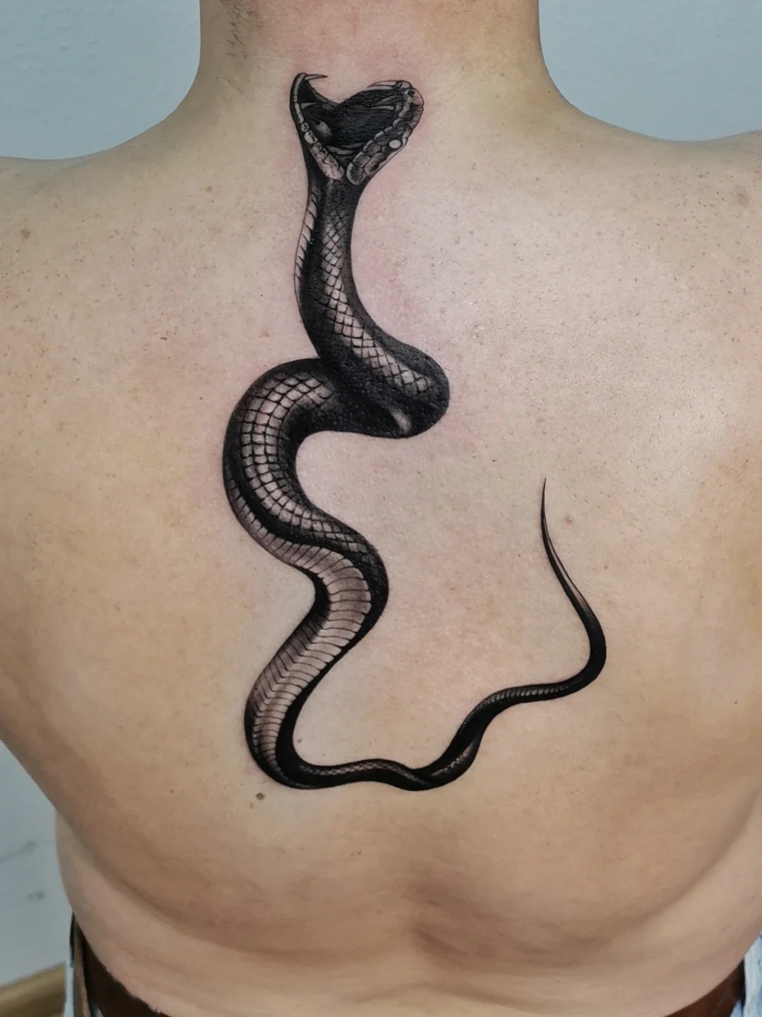 Realistic black snake on the upper back